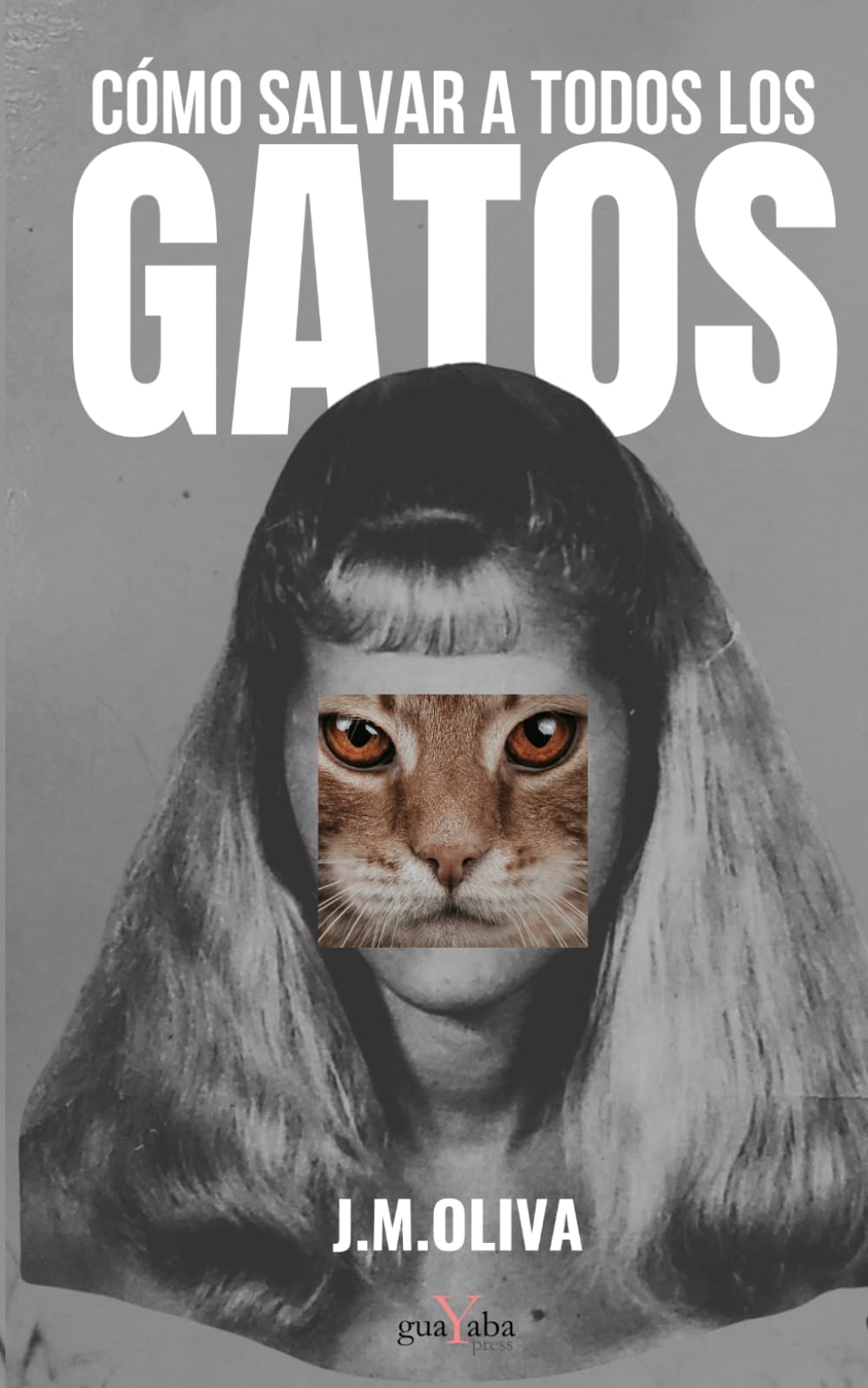 Cómo salvar a todos los gatos