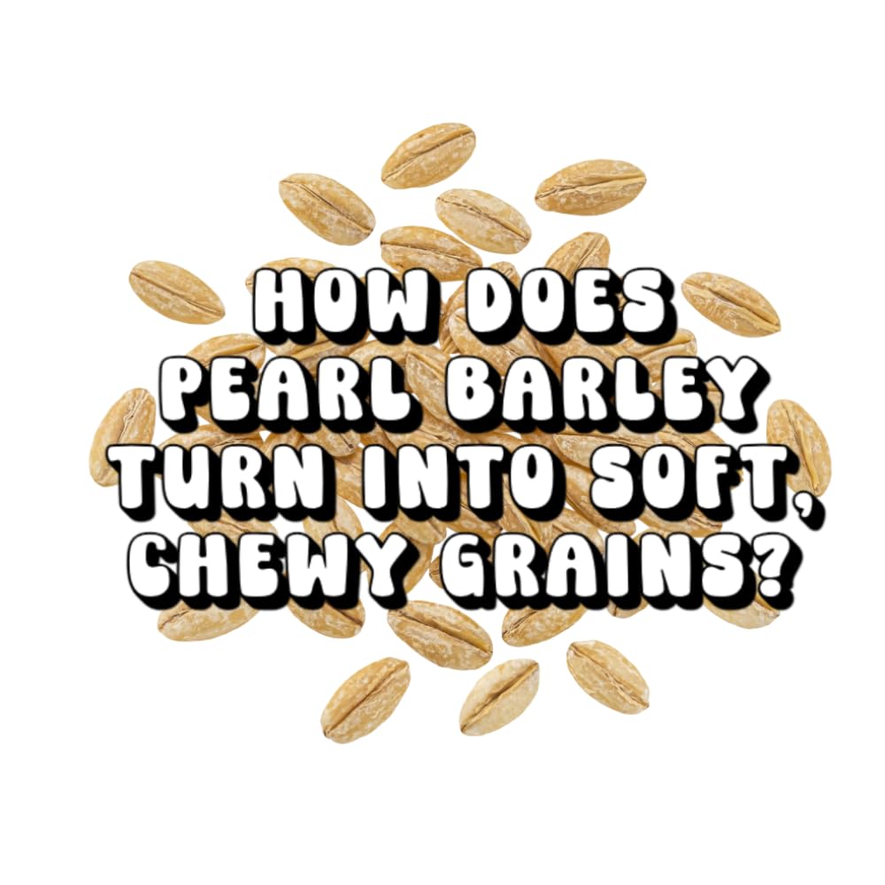 How Does Pearl Barley Turn Into Soft, Chewy Grains?