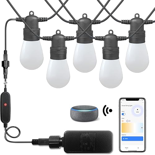 SUNTHIN Guirnalda de luces inteligentes, luces inteligentes de 48 pies para patio con 16 bombillas LED inastillables, funciona con Alexa y Google