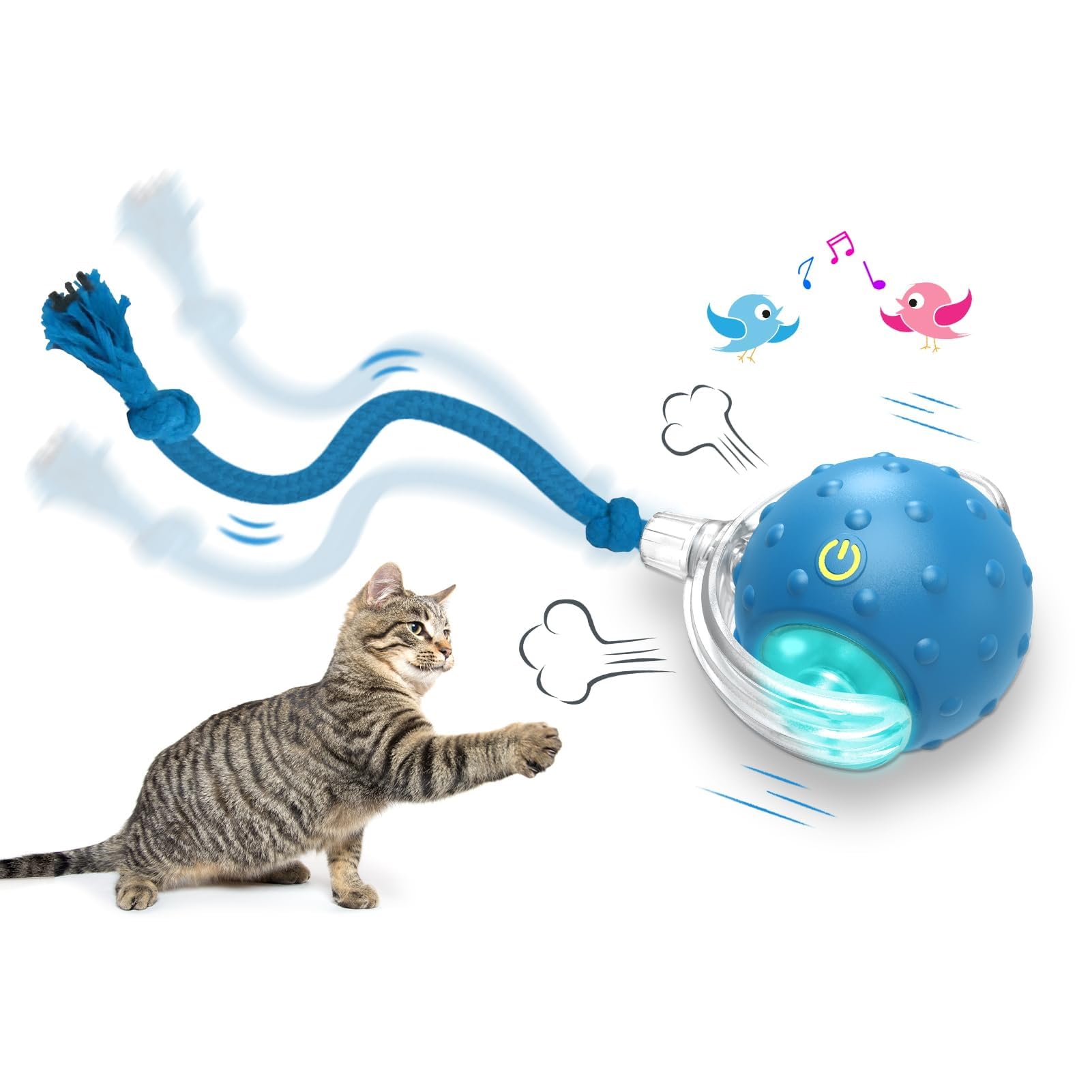 - Automatic Interactive Cat Toy Ball with Bird Chirp Sounds, 3 Play Modes & USB Rechargeable | Intelligent Rolling Kitten Toys with Rope Tail for Indoor Cats (6.5 X 5.6 cm)