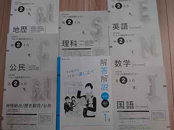 新品未使用ＣＤ付進研模試ベネッセ２０２５年１月実施高２総合学力テスト２０２４年度 61eodJPo6lL._AC_UF350,