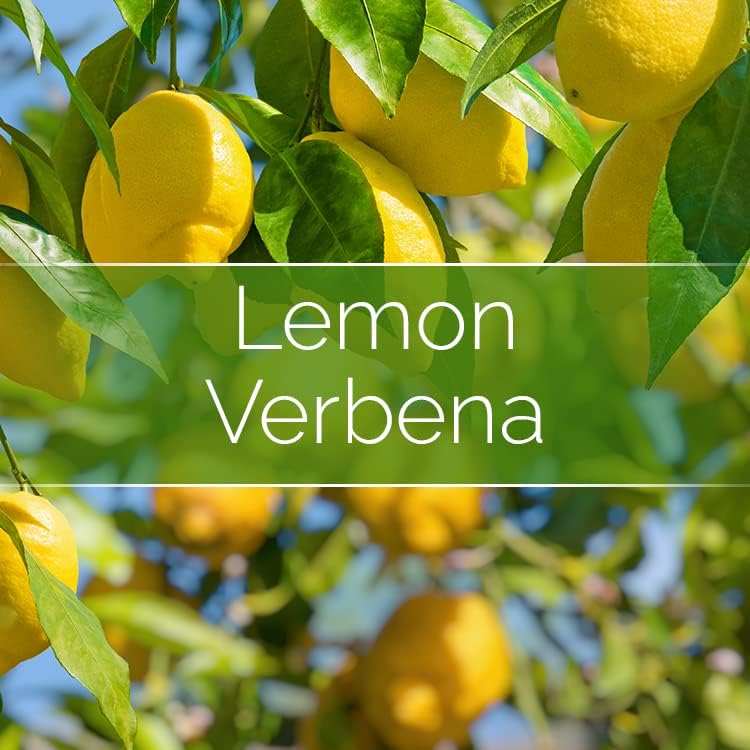 Miniatura 3 de Phoenix Wick Kit de fabricación de velas, transforma cualquier cosa en una vela, kit de fabricación de velas con mecha + cera de 7 onzas (aroma a