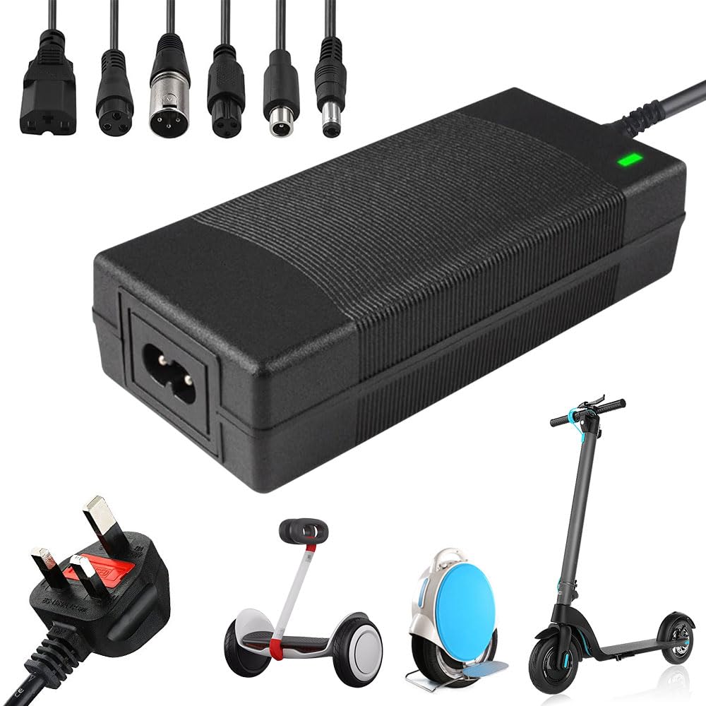 Portable Electric Scooter Charger For Electric Bikes | Fast Charging | AHA