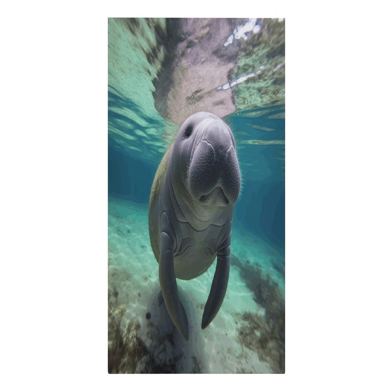 VstaDank Cute Sea Animal Manatee Beach Towels 30"x61" Microfiber Super Absorbent Large Bath Towels Cozy Soft Swim Travel Towel Quick Dry Thin Pool Towel Beach Accessories for Outdoor Adult