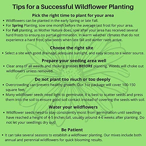Drought Resistant Wildflower Seeds Open-Pollinated Bulk Flower Seed Mix For Beautiful Perennial, Annual Garden Flowers - No Fillers - 1 Oz Packet… #TOP7