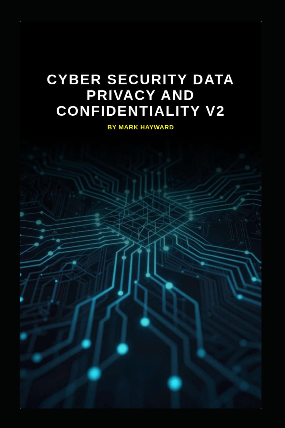 Cyber Security Data Privacy and Confidentiality v2: Updated information from v1 (Series 2a)