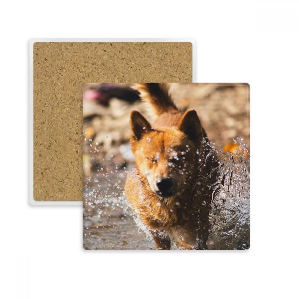 Dessous de verre pierre absorbante chien mignon japonais porte-tasse pour boisson chaude