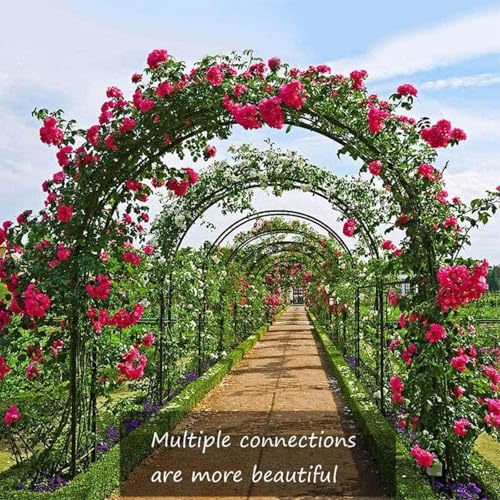 Arche de mariage extérieure robuste décor romantique pour cérémonie