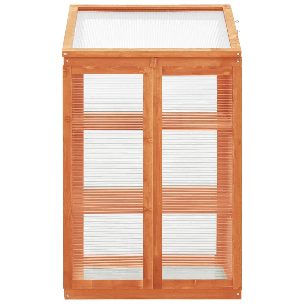 Mangloder - Invernadero de madera de abeto 60 x 45 x 100 cm con placa de PC, 2 estantes y tapa abatible, invernadero para exterior, invernadero, balcón, terraza, cultivo, invernadero, protección
