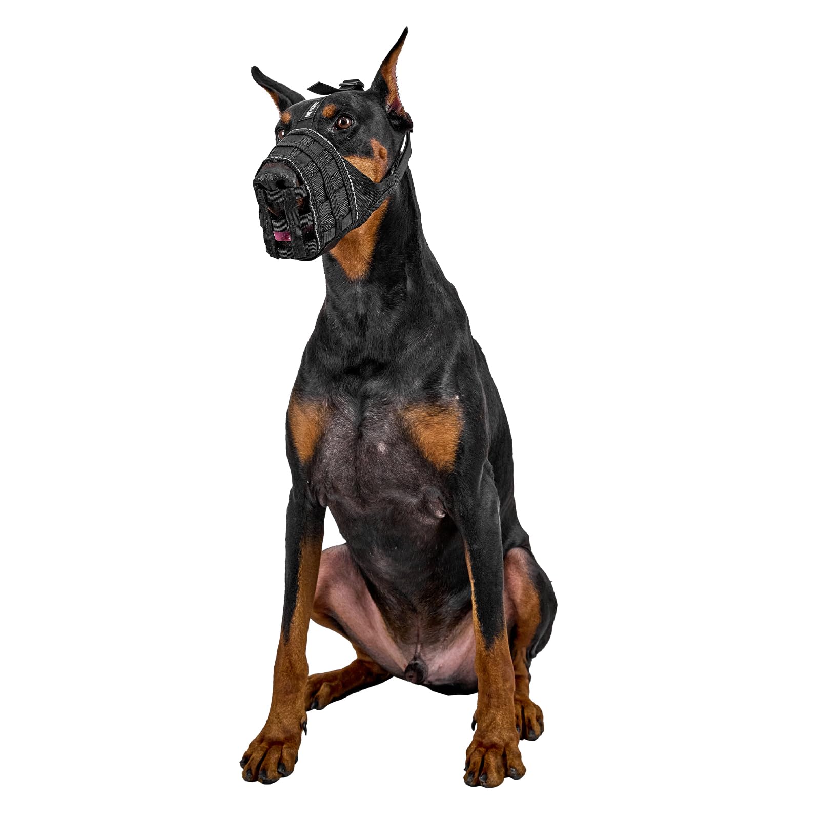 OneTigris Muselières pour Chiens, Maille Respirante Nylon, Museliere pour Chiens Ajustable avec Sangles Velcro, Respectueuse du Chien Qui Peut Haleter Et Boire, Museliere Anti Aboiement, XL