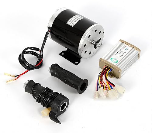 YIYIBYUS Kit de motor de cepillo de 36 V 800 W, motor de scooter eléctrico, motor de 2800 rpm, motor de cepillo para bicicleta, triciclo, scooter