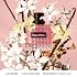 Valentino Perfume Mini Gift Set for Women: Born in Roma Donna Trio Discovery Set - Includes Born in Roma Donna, Coral Fantasy, Green Stravaganza 0.2 fl oz Each