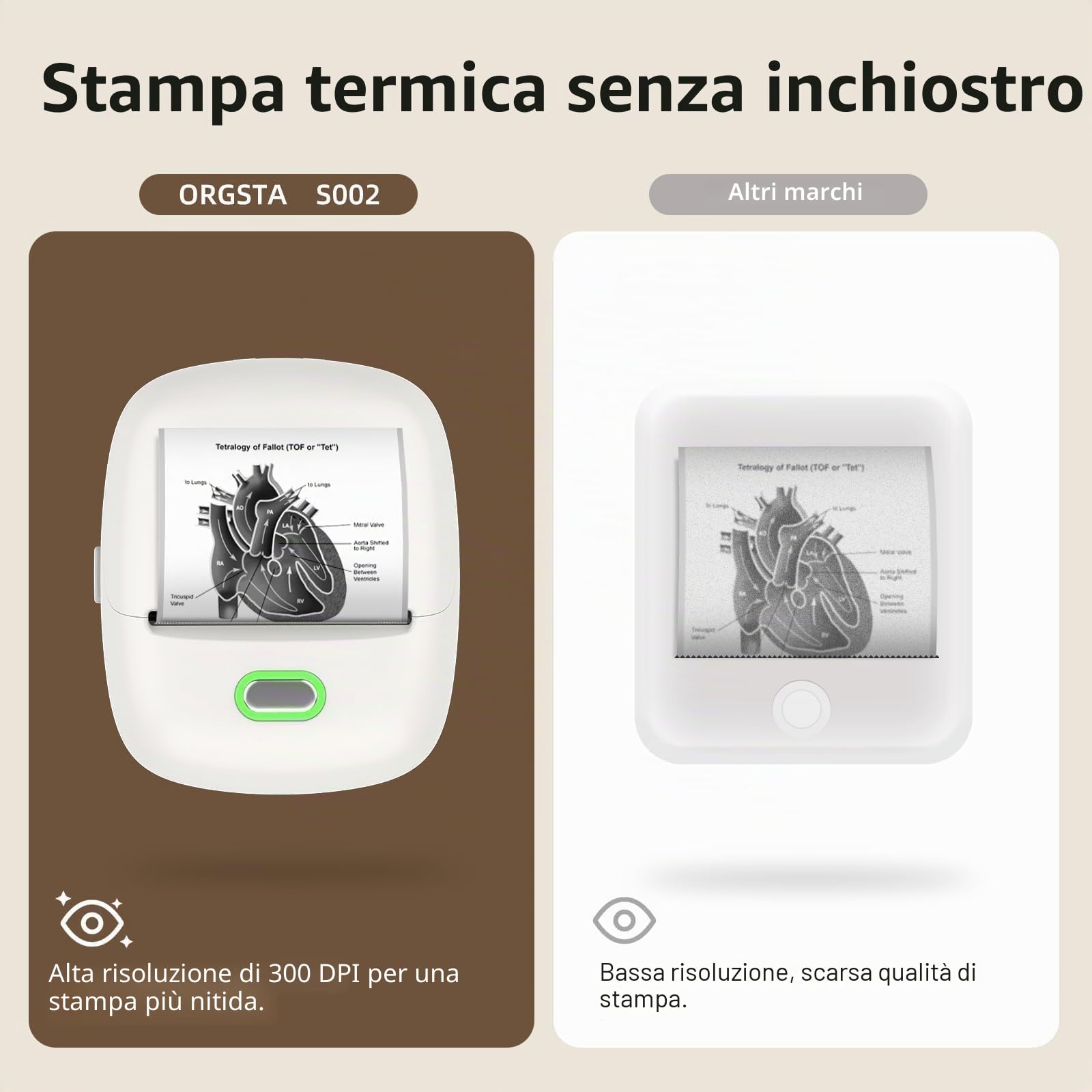 ORGSTA S002 Etichettatrice Bluetooth Portatile Stampante Etichette 300 Dpi Compatibile iOS Android