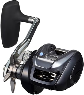 ダイワ(DAIWA) コネクテッド ベイトリール25TIERRA(ティエラ) IC 各種 (2025年モデル)