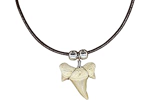 Genuine White Shark Tooth Necklaces: A Dive into Nature's Fury