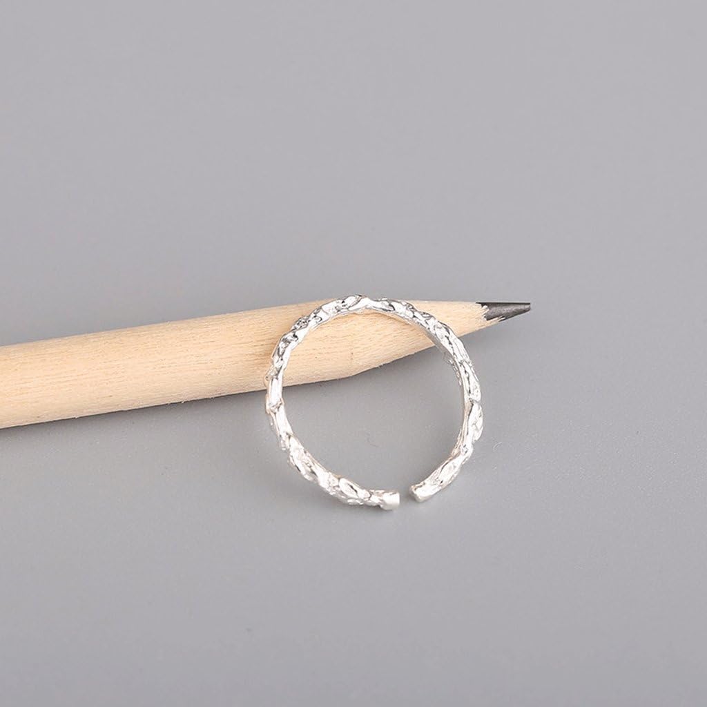 lucidatura dell'argento per l'argento sterling