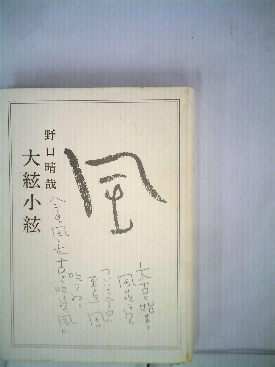 Amazon.co.jp: 大絃小絃 : 野口 晴哉: 本