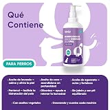 Ver la foto 2