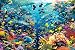 Chtom Jigsaw Puzzle Jeu for Adultes 4000 pièces d'aire de Jeux sous-Marins d'enfants Jigsaw Puzzle Jouet for la Famille et Les Amis Education Cadeau préféré