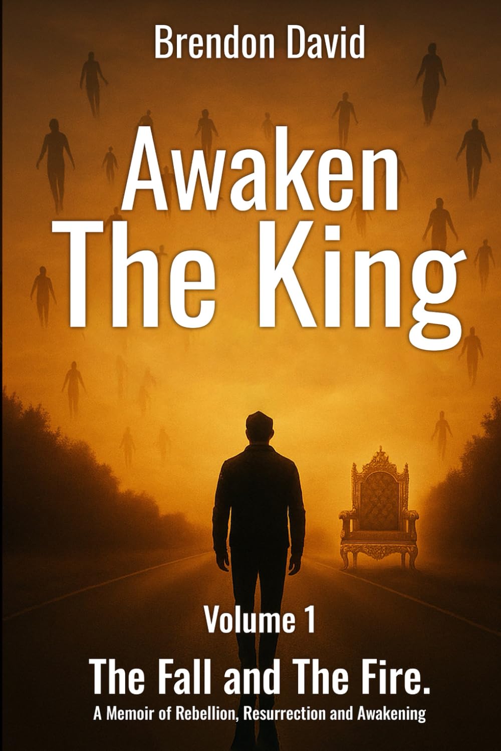 Awaken the King: Volume 1 The Fall and The Fire. A Memoir of Rebellion, Resurrection and Awakening