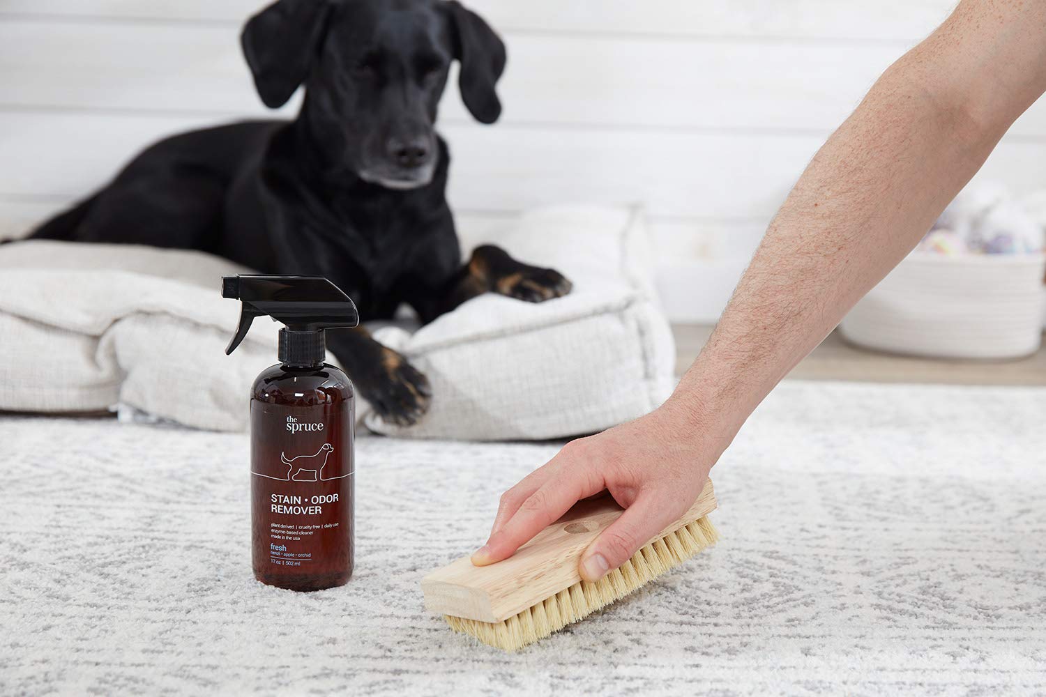 The Spruce Removedor de manchas y olores para mascotas, limpiador a base de enzimas derivado de plantas para orina de perros y gatos, heces, vómito, etc. Seguro y eficaz en azulejos, madera dura,