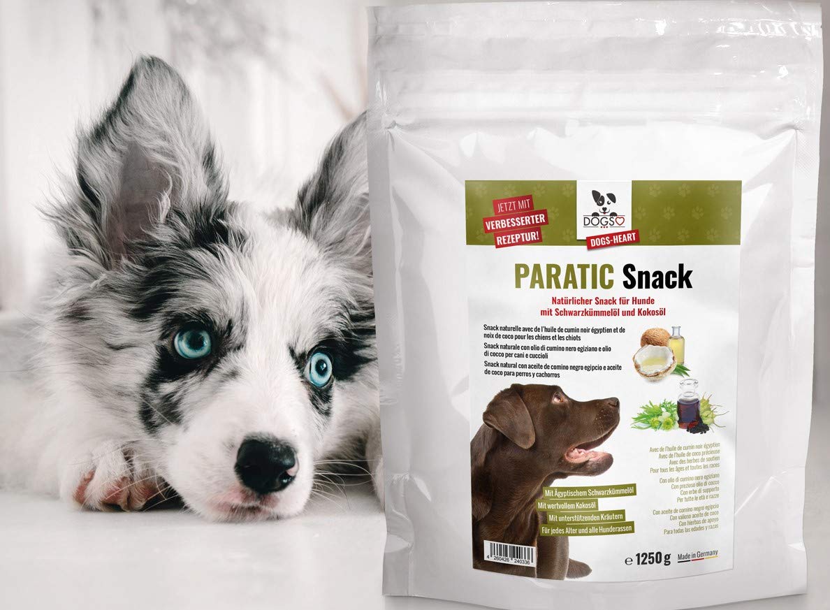 DOGS-HEART PARATIC Schutz Snacks XXL 1250g, Schwarzkümmelöl Hund | Premium Haut- & Fellschutz Snacks (1250g) mit Schwarzkümmelöl, Kokosöl & Kräutern. 100% natürlich und ohne Chemie.