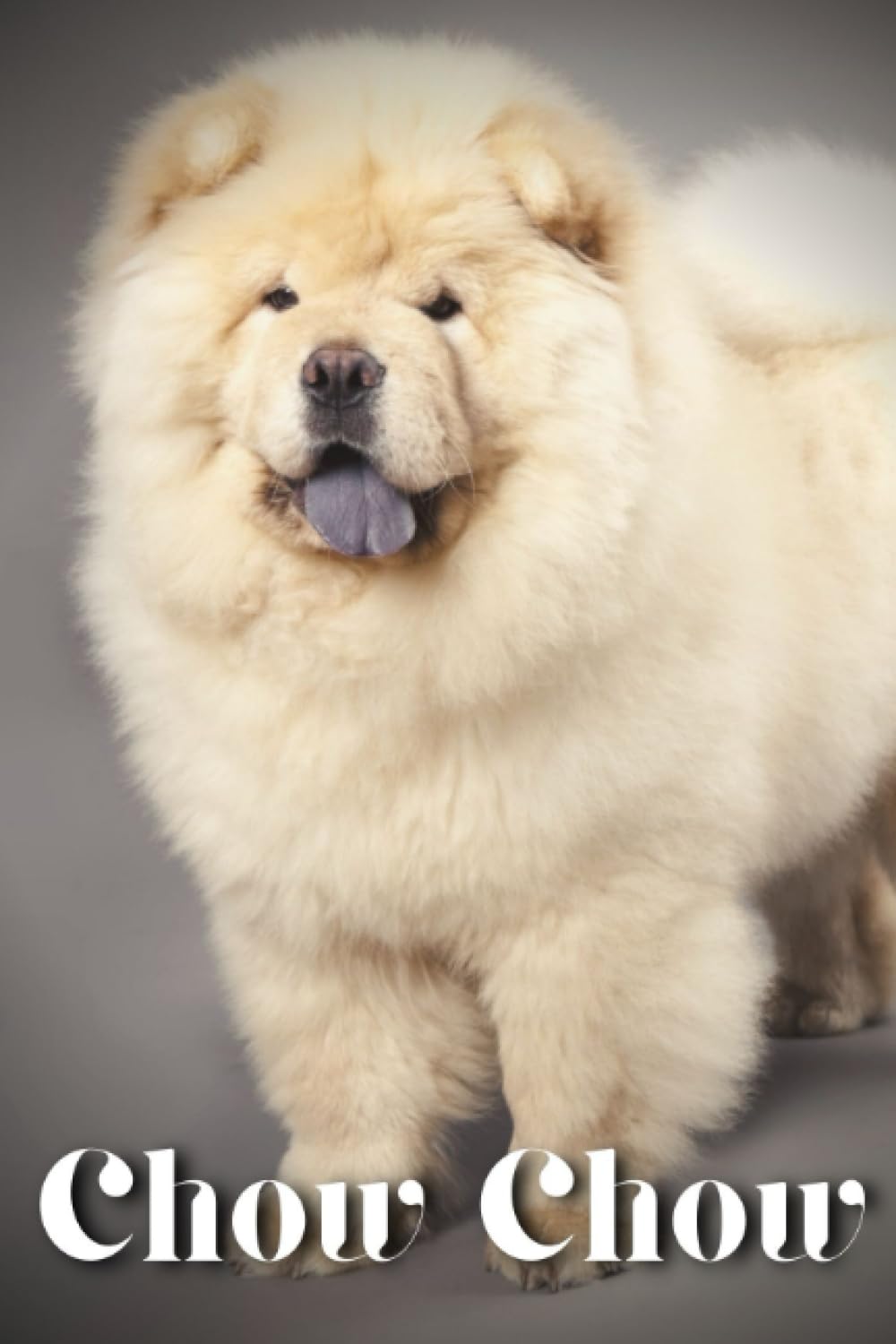 Chow Chow: Dog breed overview and guide