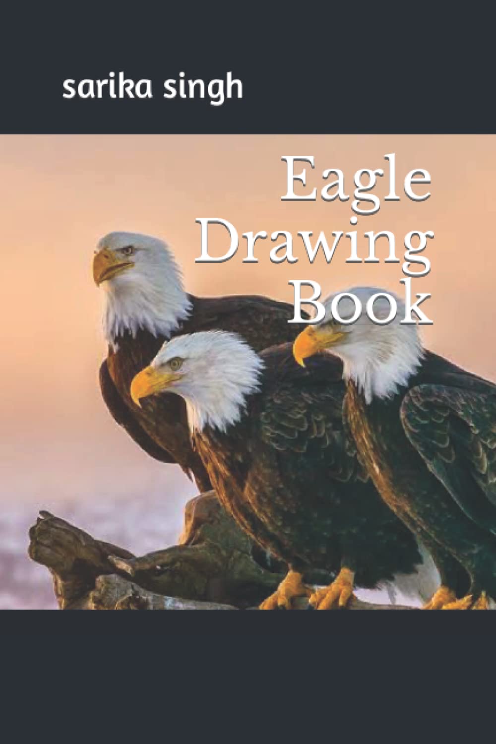 Eagle Drawing Book