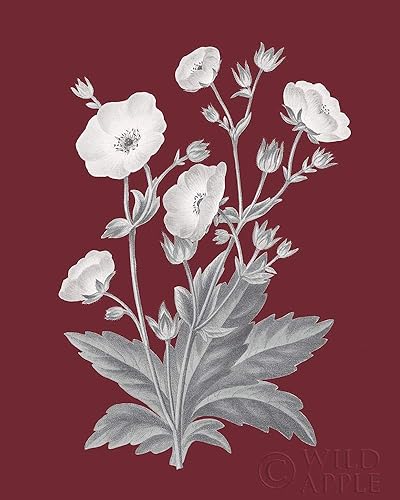 Posterazzi PDX57174Large Pomegranate Botanical VI Wild Apple - Póster impreso, 24 x 36, multicolor