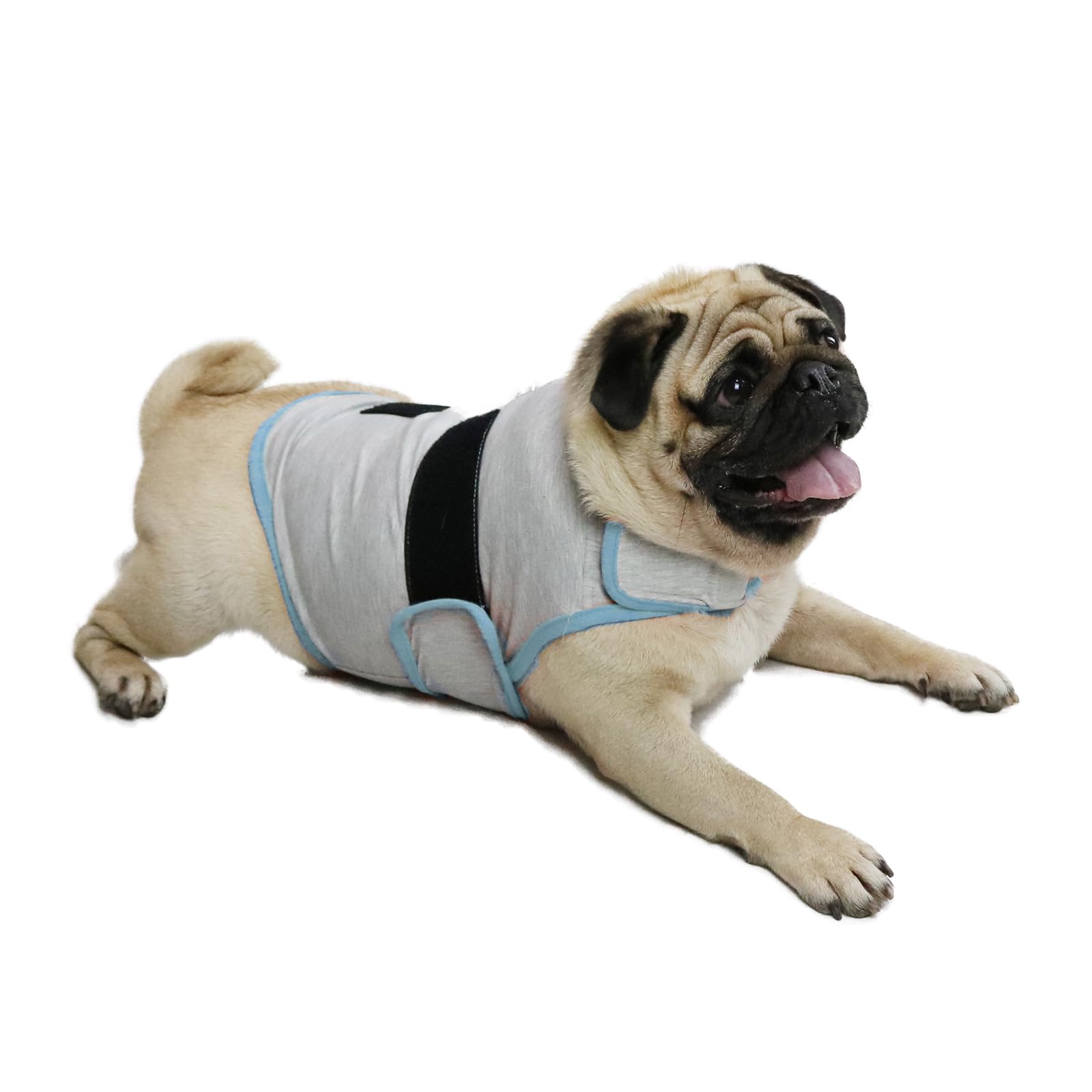 Dog Anxiety Vest, Comfort Dog Anxiety Relief Coat, Breathable Dog Calming Vest for Thunderstorm, Travel, Fireworks, Vet Visits（Dog Calming Vest Light Grey Blue M）, Medium