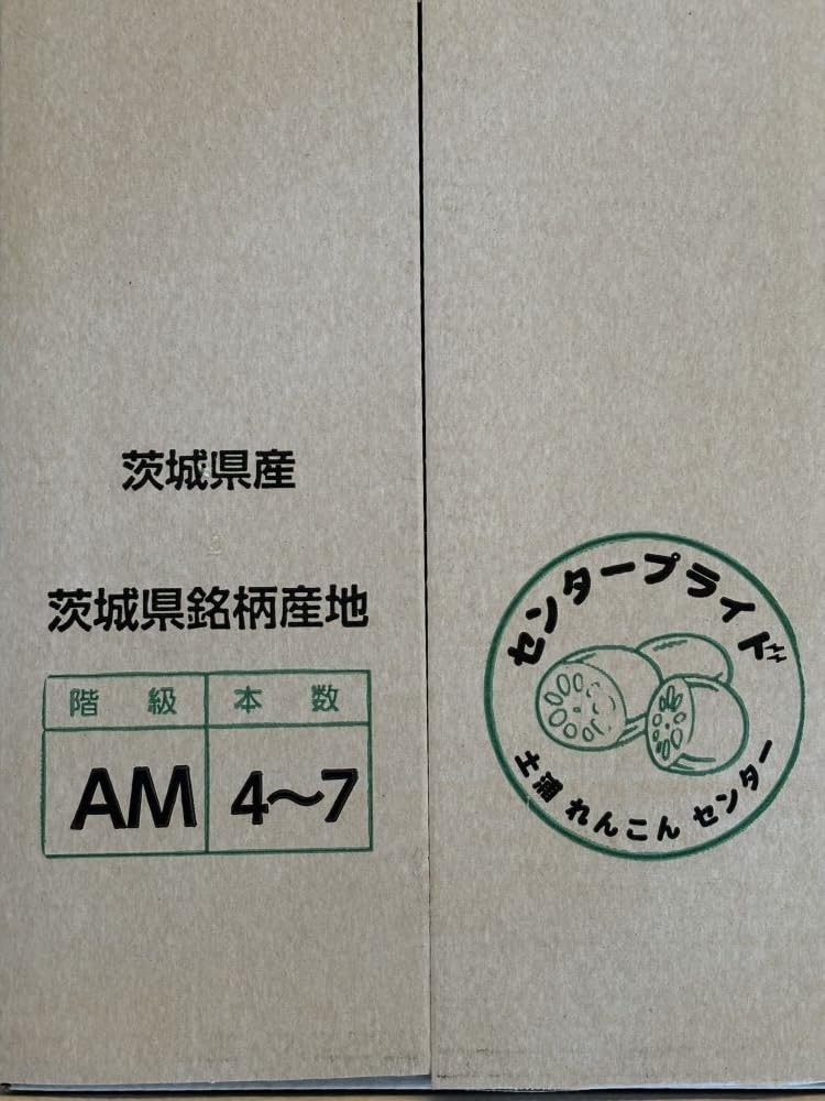 Amazon.co.jp: えびねの多菜生活 れんこん ギフト 霞ヶ浦れんこん 約