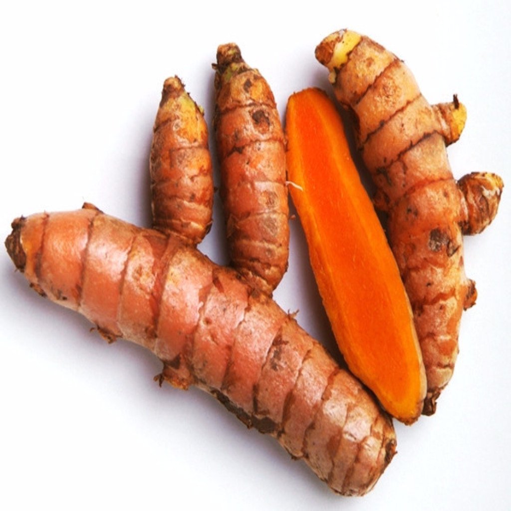 Turmeric seeds for planting, Planting seeds for turmeric, 100% germination planting turmeric seeds ( 900 gm ) (B0BSB2SK56) Amazon Price History, Amazon Price Tracker