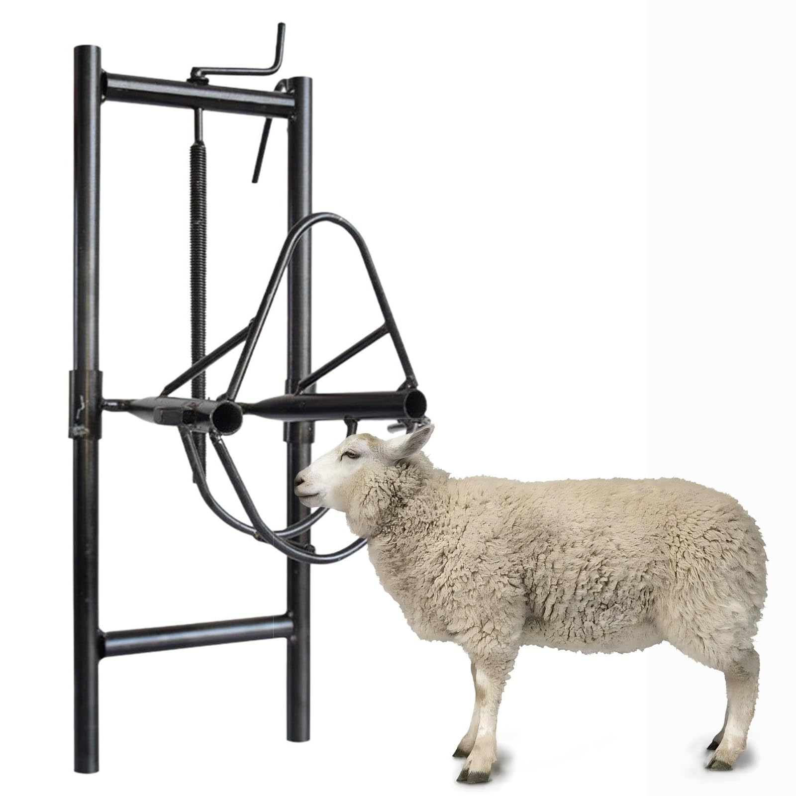 Hpmcve One Color Liftable Sheep Head Holder, Livestock Sheep Stand Head Fixture, Goat Stand Sheep Catching Bracket Shearing Stand With Adjustable Height, Livestock Accessories For Farm Household