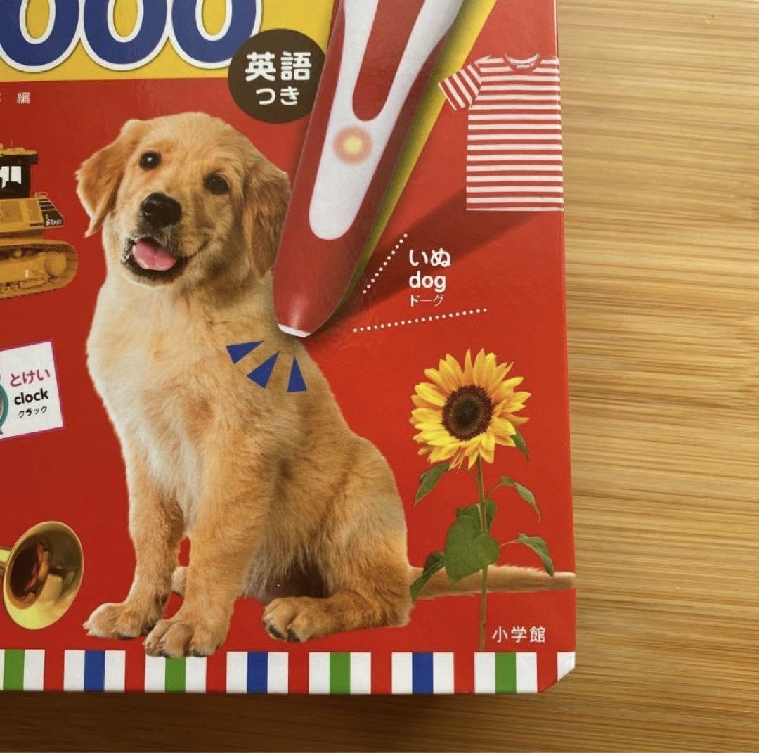 はじめてずかん1000（本のみ）