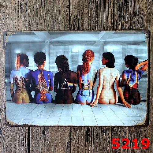 Tin Plate Pink Floyd Retro Vintage Plaque Metal Sign 30x20cm