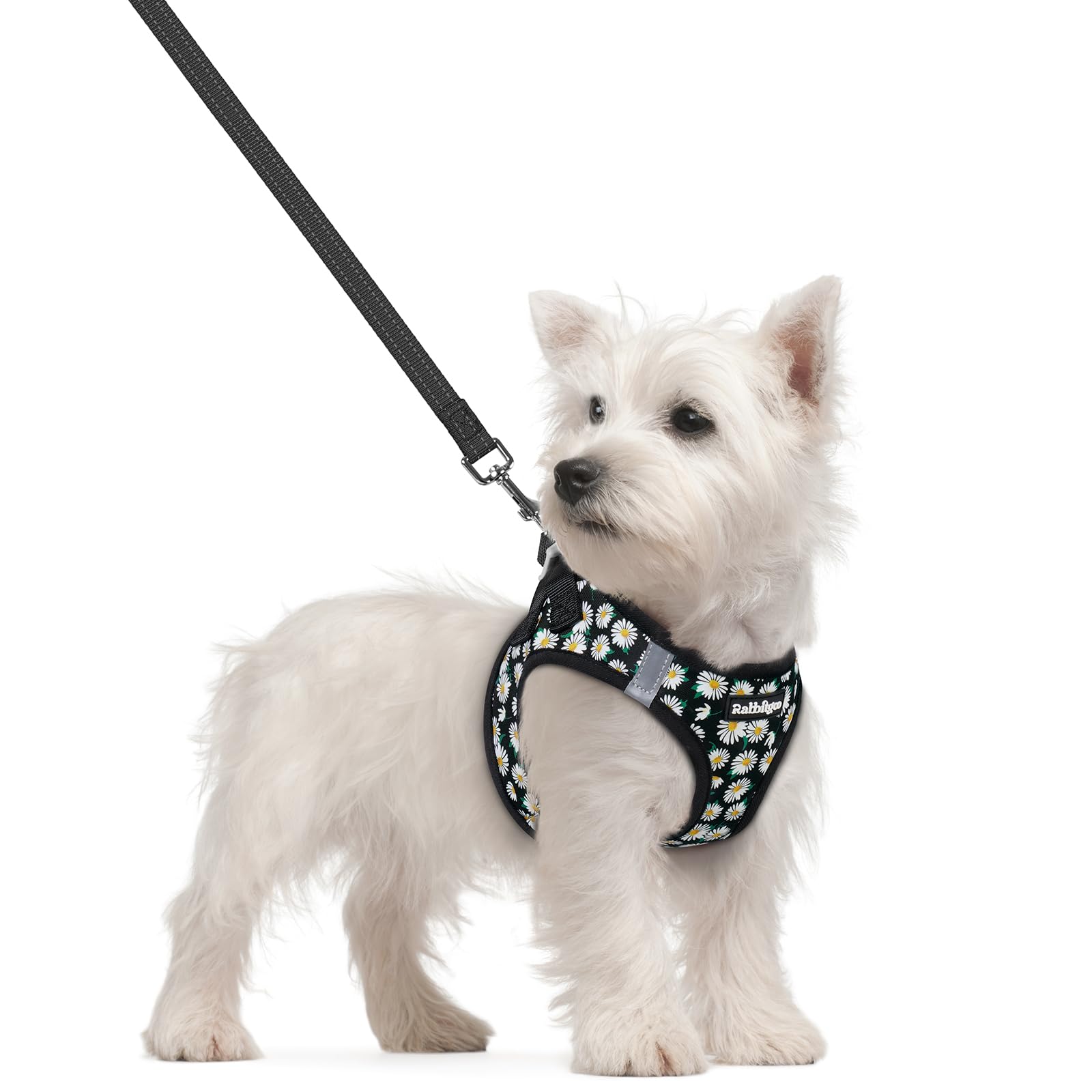 rabbitgoo Dog Harness Small Sized and Leash Set, Step-in Puppy Pet Vest