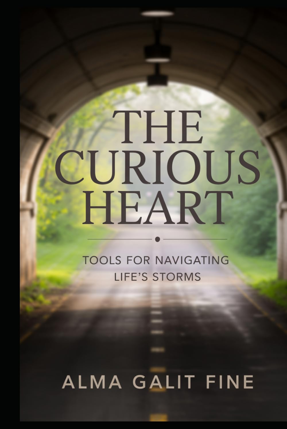 The Curious Heart: Tools For Navigating Life's Storms