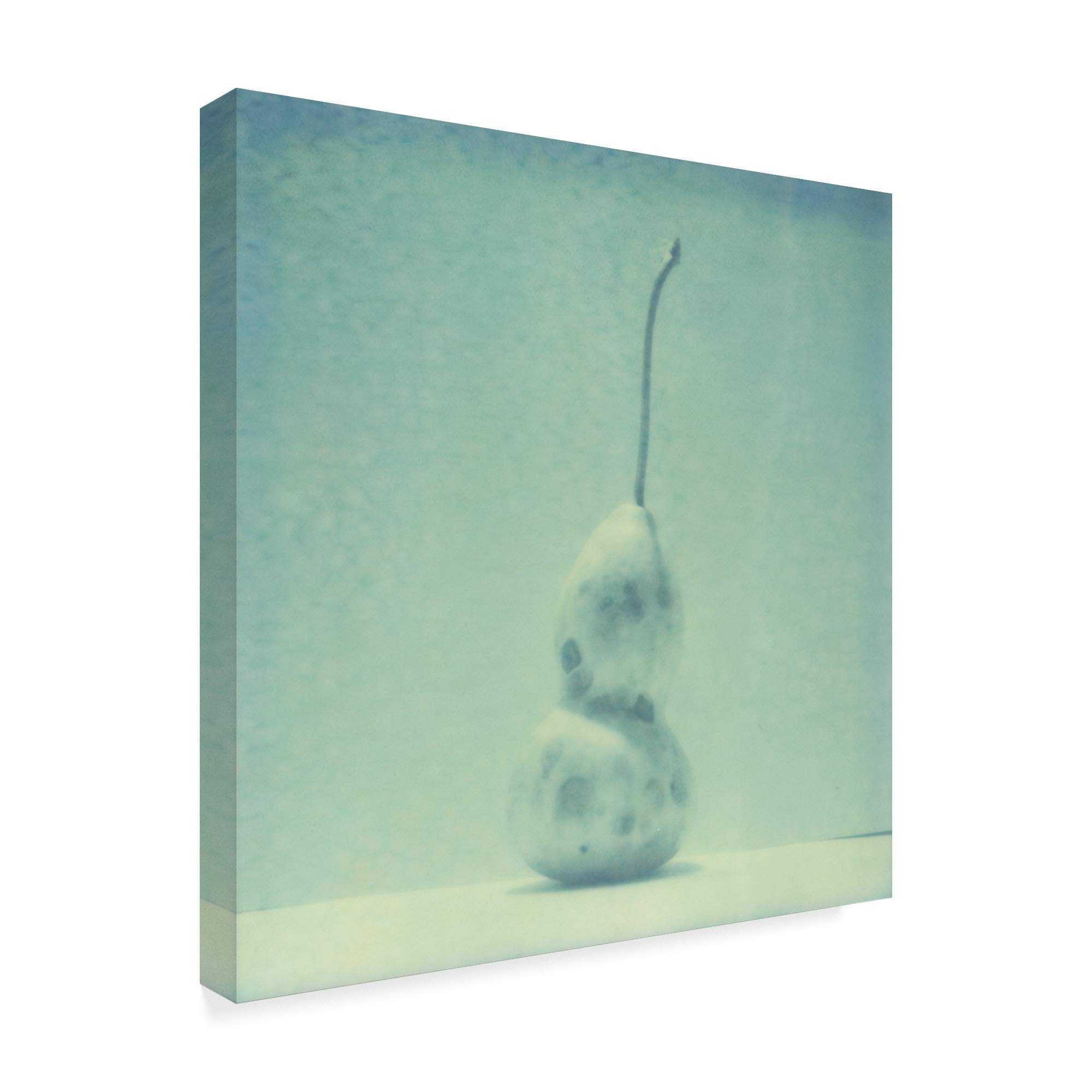 5/B162 - Multi Banded - JASON INDUSTRIAL - Factory New!