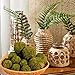 USMOLA 18-Piece Moss Balls Set - 6 Large 3.2