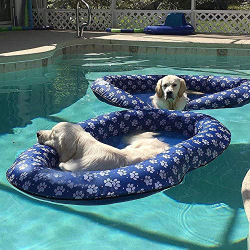 swimming dog bath toy