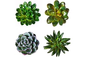Cute Boho-Inspired Succulent Fridge Magnets