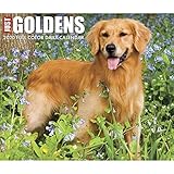 Just Goldens 2020 Box Calendar (Dog Breed Calendar)