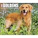 Just Goldens 2020 Box Calendar (Dog Breed Calendar)
