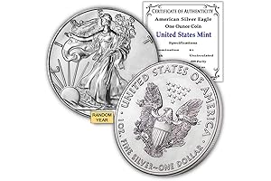 Stunning American Silver Eagle 1 oz Silver Coin
