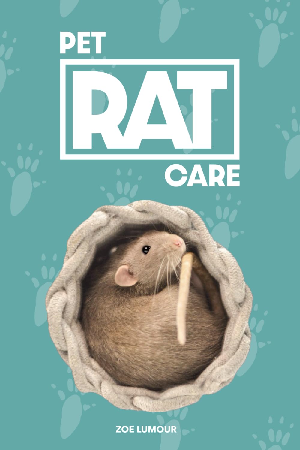 Pet Rat Care