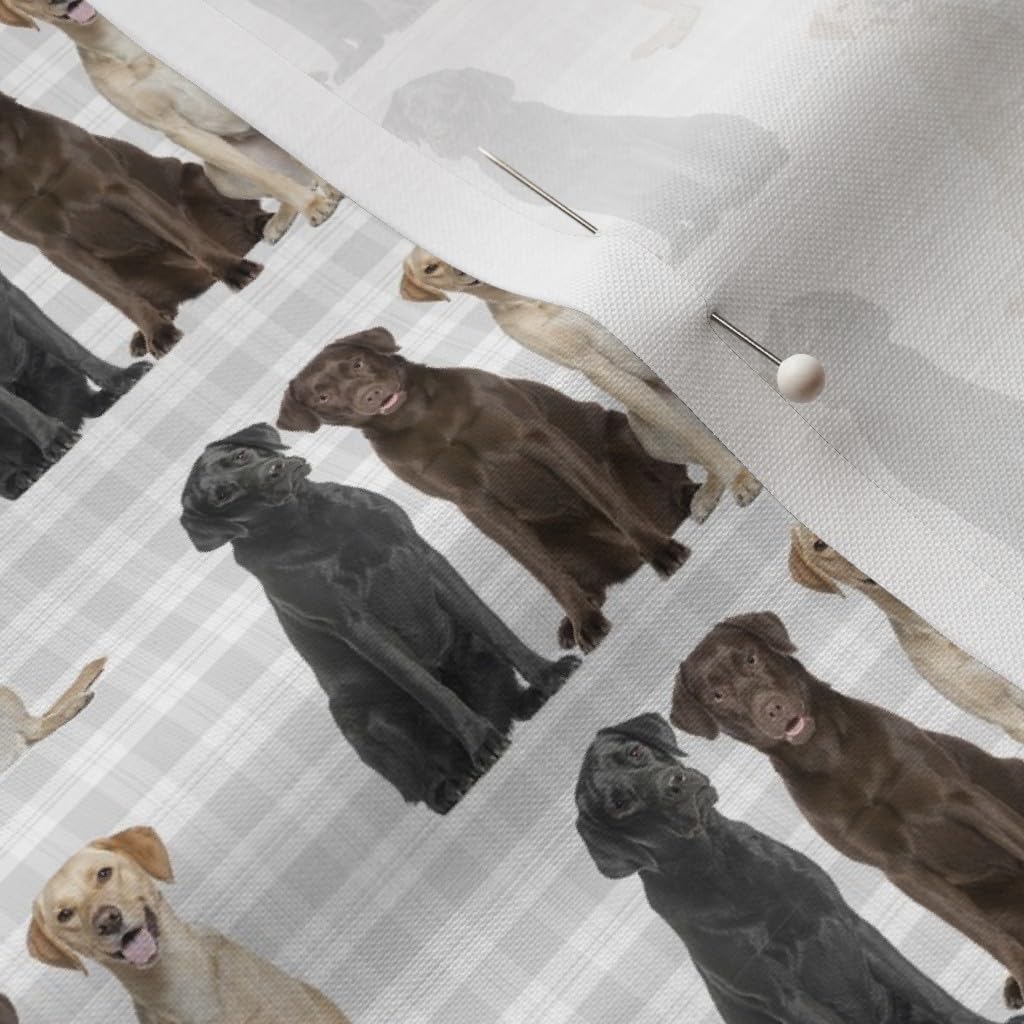 Spoonflower Fabric - Black Chocolate Yellow Labrador Retriever Lab Dog Pet Animal Printed on Petal Signature Cotton Fabric by The Yard - Sewing Quilting Apparel Crafts Decor