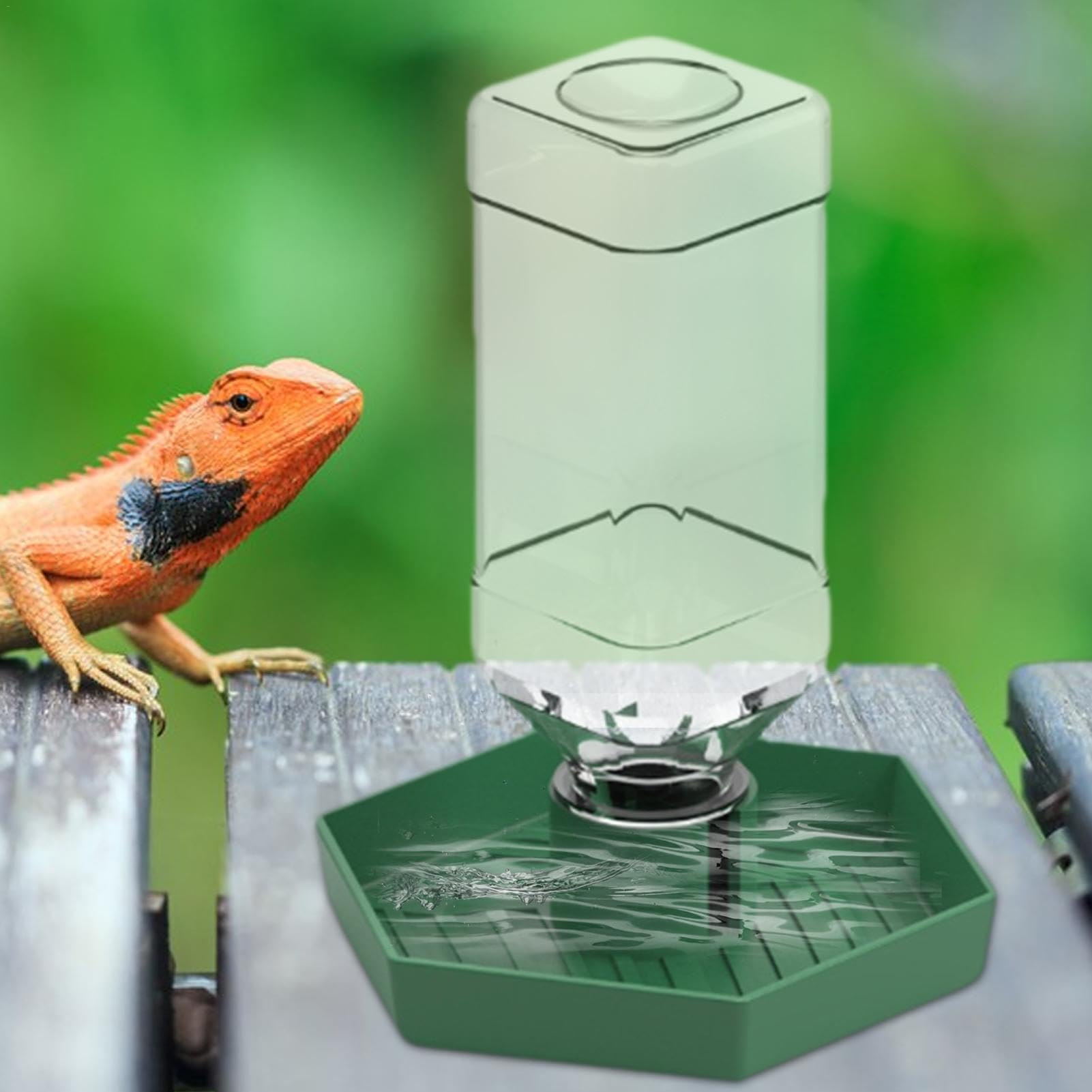Dispensador de agua para reptiles, accesorios de alimentación de lagartos, cuenco de agua desmontable para tortugas, dragones barbudos y lagartijas