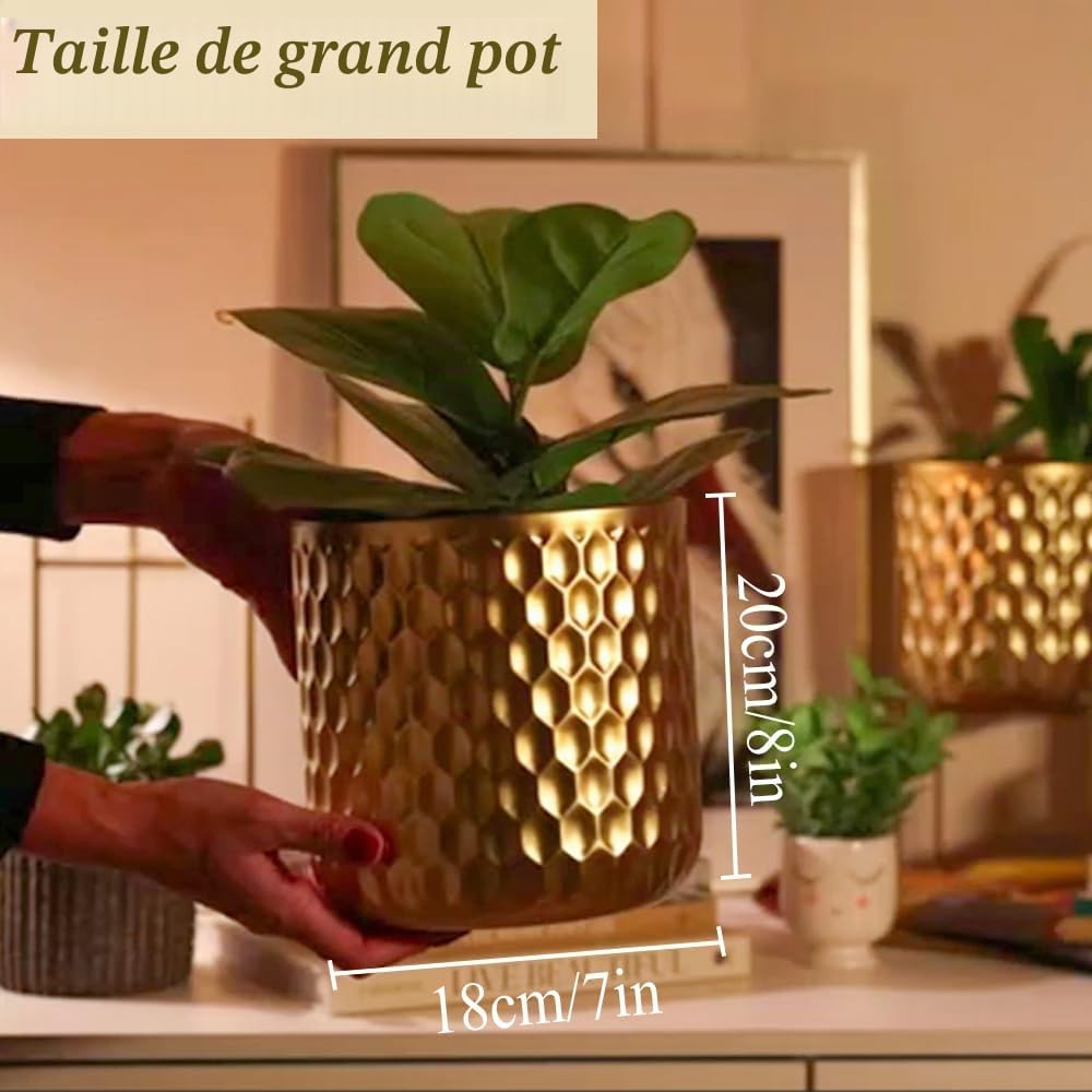 TRIROCKS Set de 2 Jardinières Métalliques Modernes avec Support 31cm & 45cm, Pots de Fleurs pour Intérieur/Extérieur, Décor Cuisine, Salon, Balcon, Patio (Or)