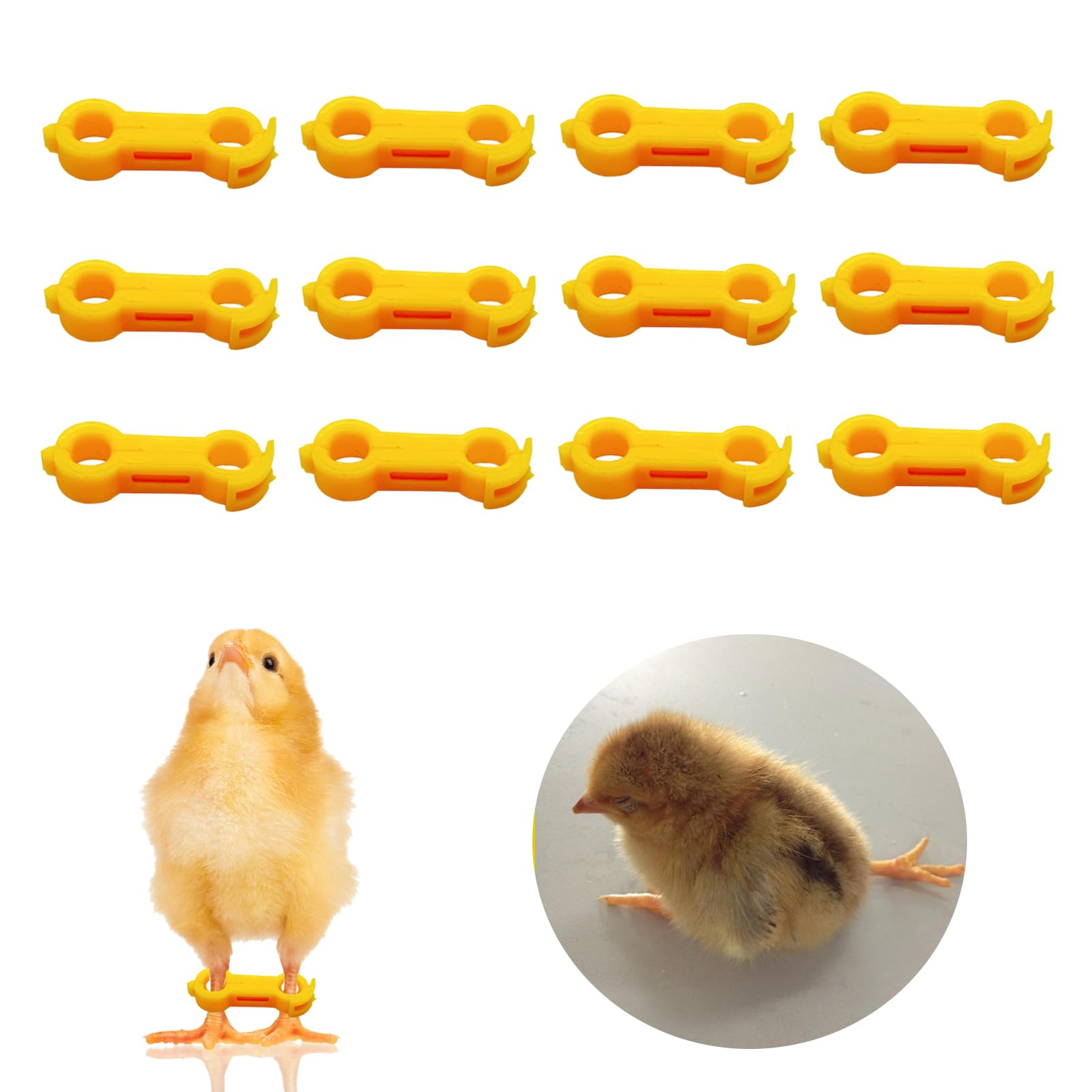 12Psc Baby Chick Splay Leg Hobble Brace, Baby Chick Leg Hobbles, Poultry Leg Bands, Chicken Hobble Braces for Newborn Spraddle Leg of Chick Quails