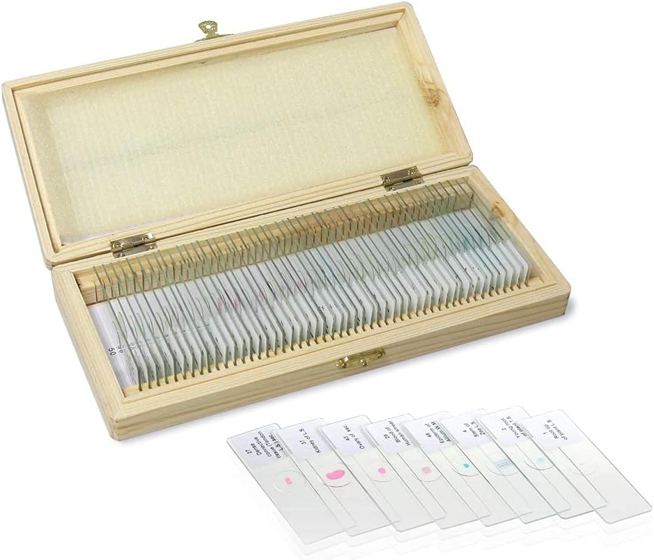 Basic Biology Prepared Microscope Slides, 50pcs of Microscope Specimen Slides, Packed in Fitted Wooden Storage Box, LVQ091